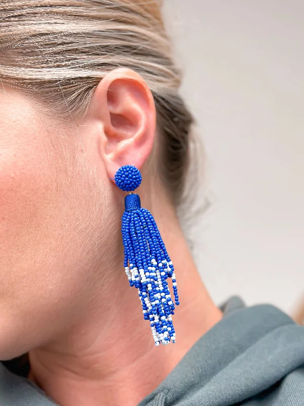 Hoop earrings with snake print designs for an edgy, wild appearance-Blue & White Fringe Dangle Earrings