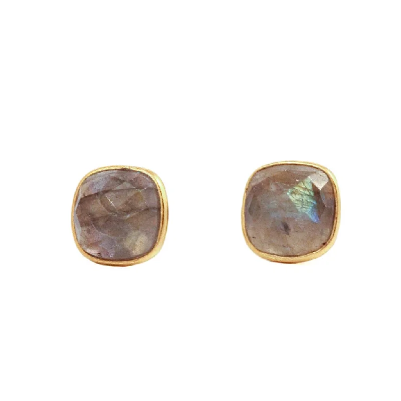 Hoop earrings with intricate designs for a unique and artistic appearance-Felice Square Earrings Labradorite