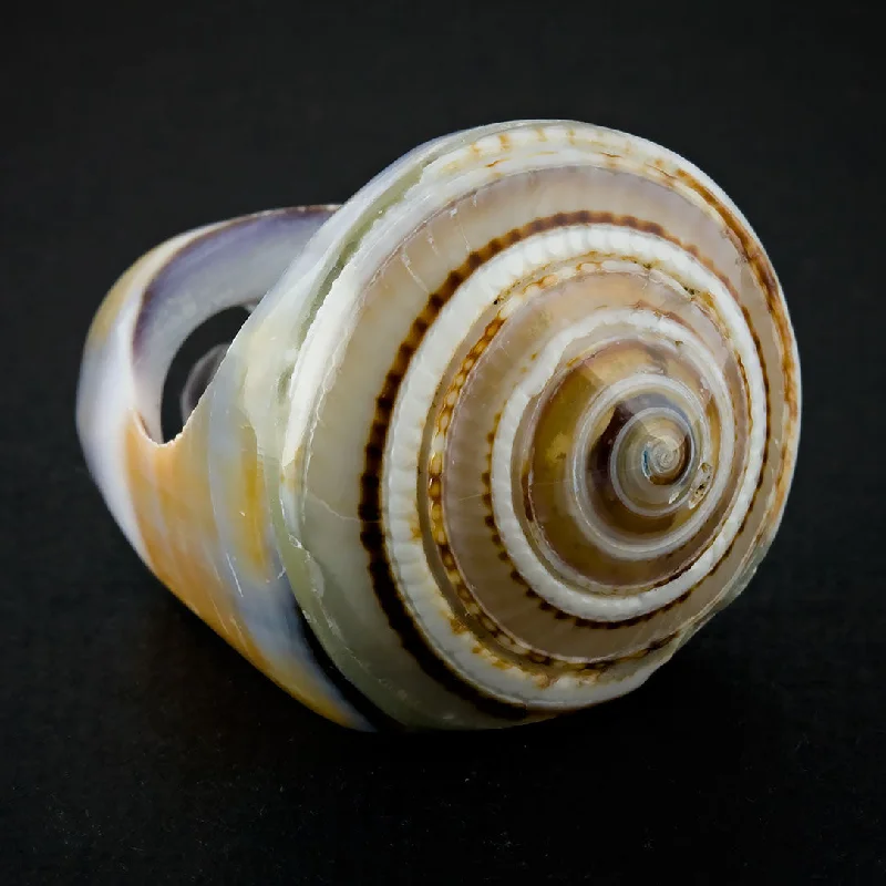 Small hoop earrings for a delicate and understated everyday wear-Seashell Ring - Purple Sand Spiral