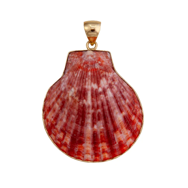 Necklaces and pendants with celestial starburst designs for a radiant look-Alchemia Pectin Shell Pendant